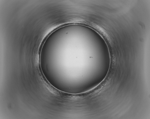 X0000112061324200908181149