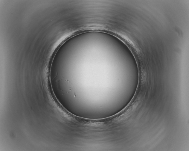 X0000112061325200908181149