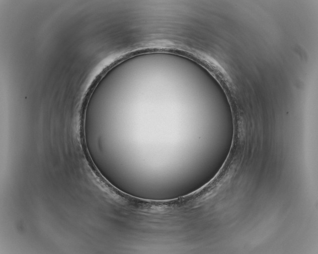 X0000112061326200908181149