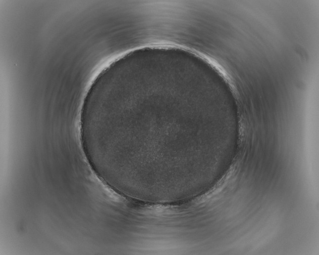 X0000112061327200908181149