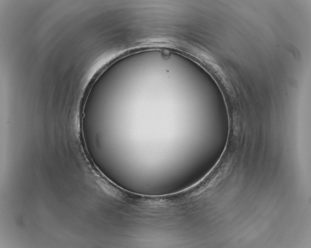 X0000112061328200908181149