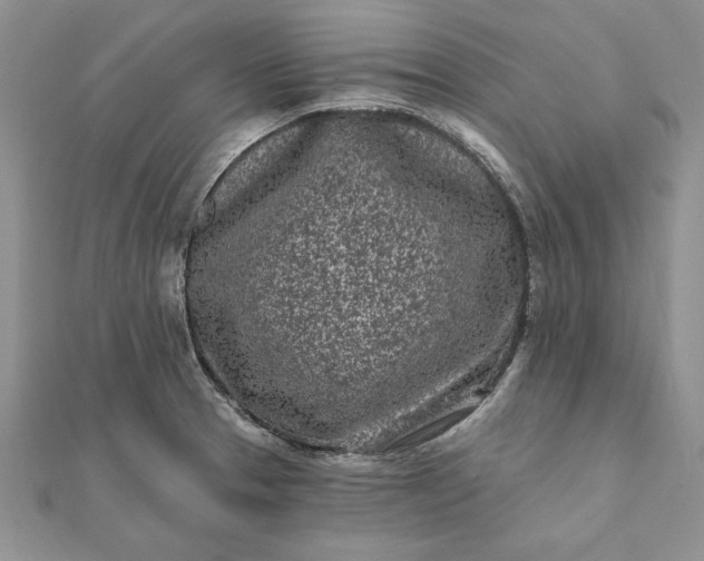 X0000112061329200908181149