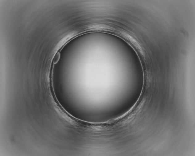 X0000112061330200908181149