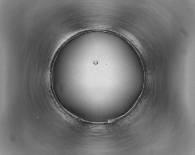 X0000112061332200908181149