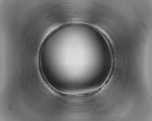 X0000112061333200908181149