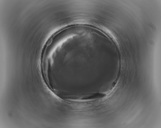 X0000112061334200908181149