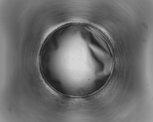 X0000112061335200908181149