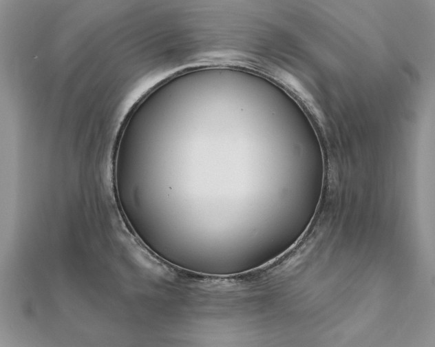 X0000112061336200908181149