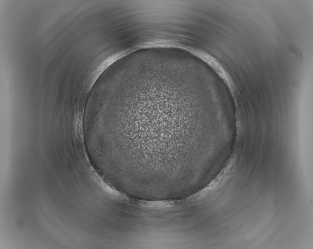 X0000112061337200908181149