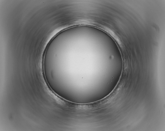 X0000112061339200908181149