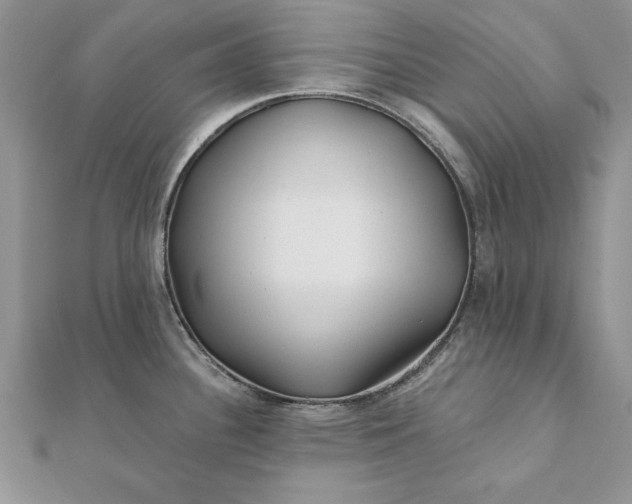 X0000112061340200908181149