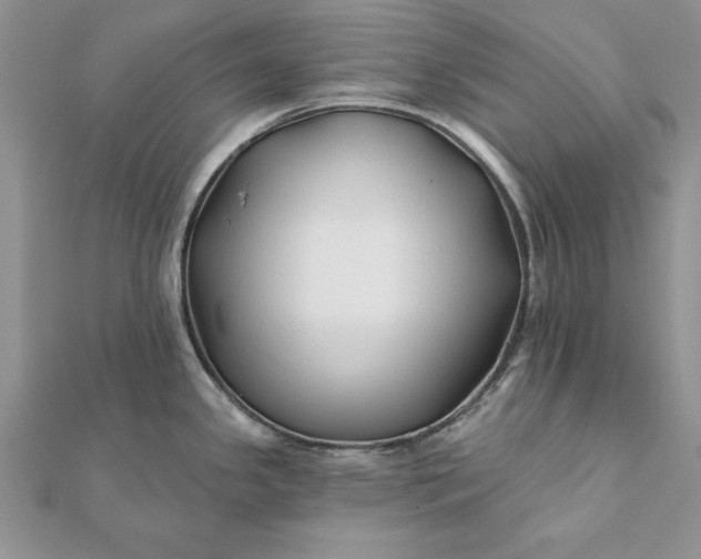 X0000112061341200908181149