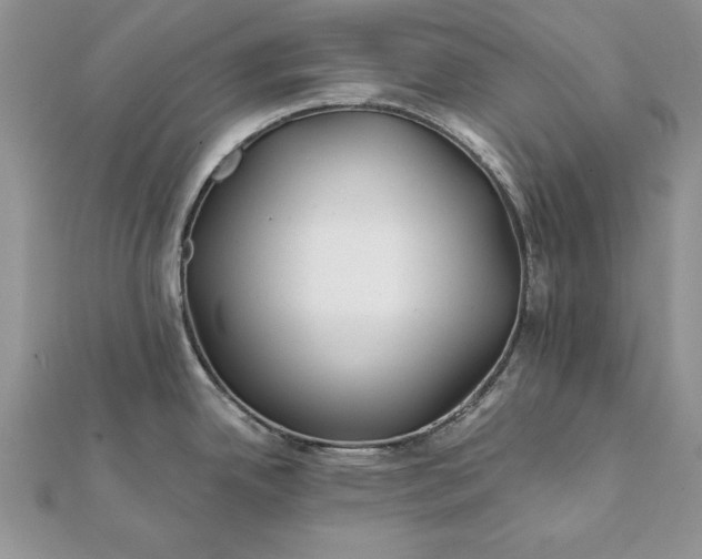 X0000112061342200908181149