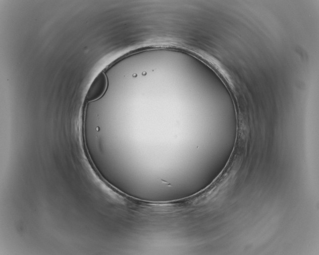 X0000112061343200908181149