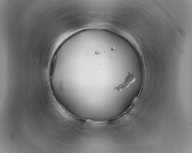 X0000112061344200908181149