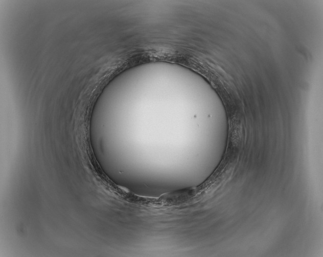 X0000112061345200908181149