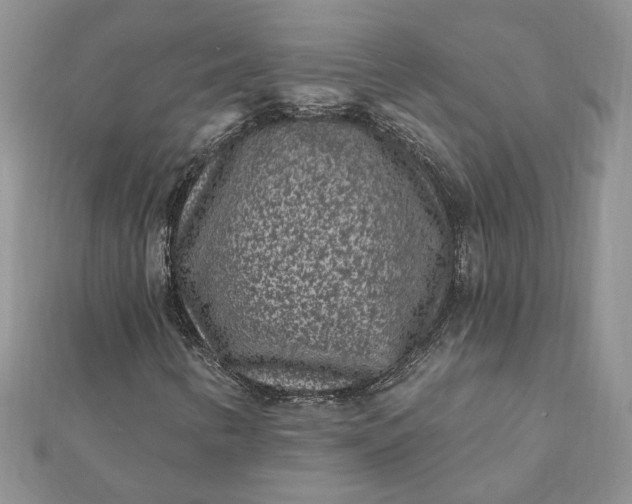 X0000112061346200908181149