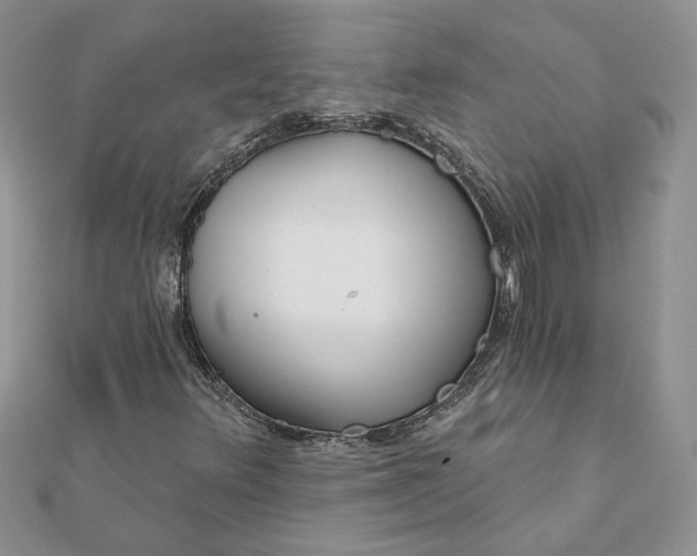 X0000112061348200908181149