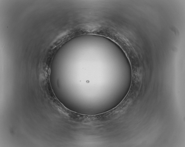 X0000112061349200908181149