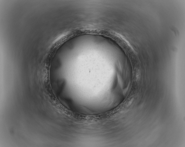 X0000112061350200908181149