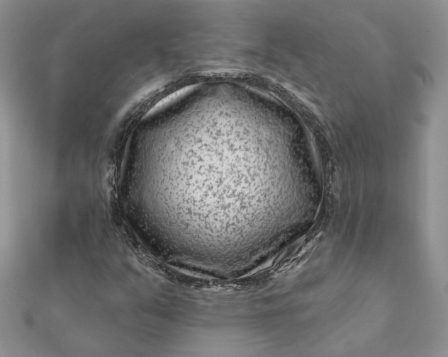 X0000112061351200908181149