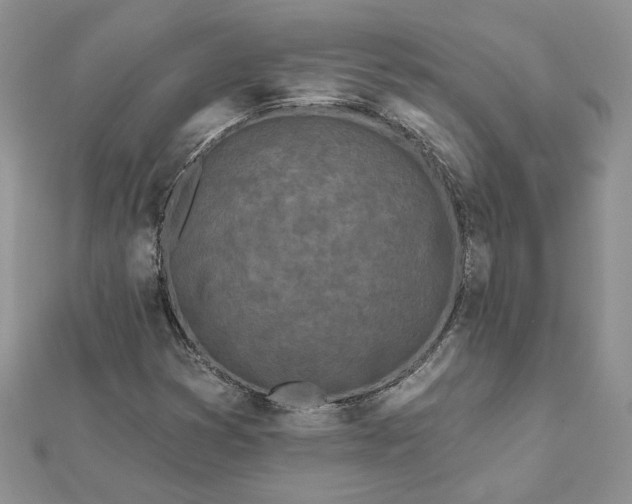 X0000112061353200908181149