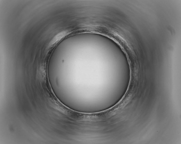 X0000112061354200908181149