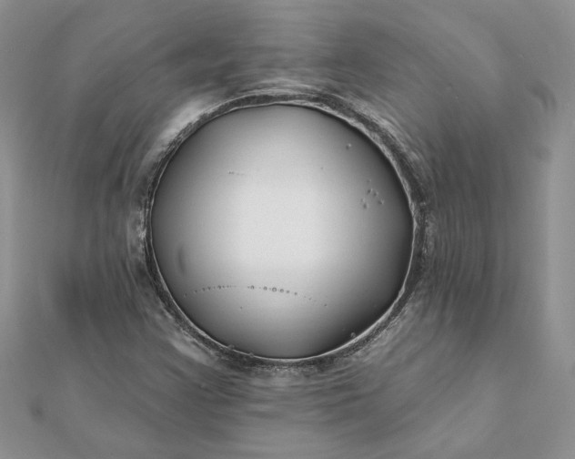 X0000112061355200908181149