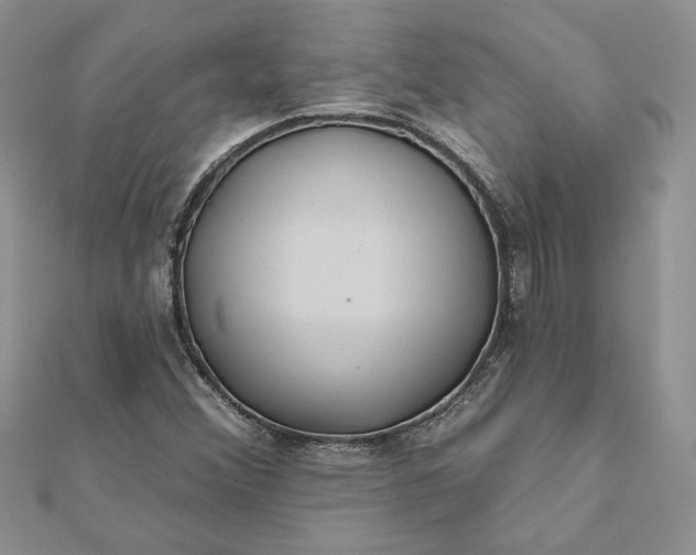 X0000112061356200908181149