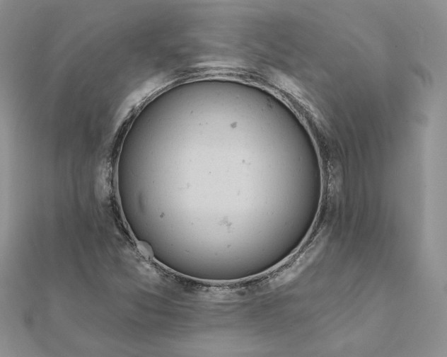 X0000112061357200908181149