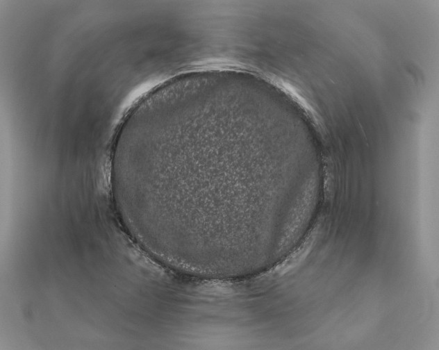 X0000112061358200908181149