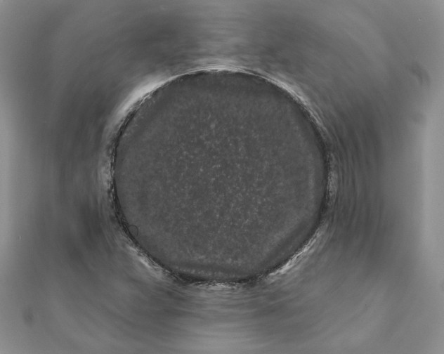 X0000112061359200908181149