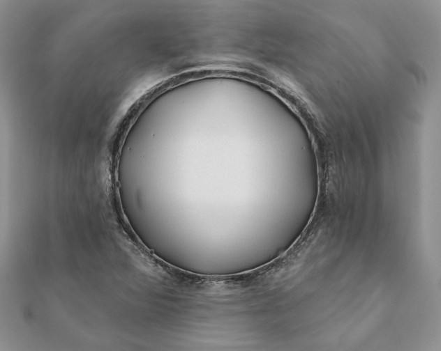 X0000112061360200908181149