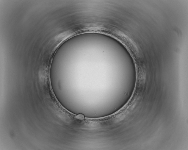 X0000112061361200908181149