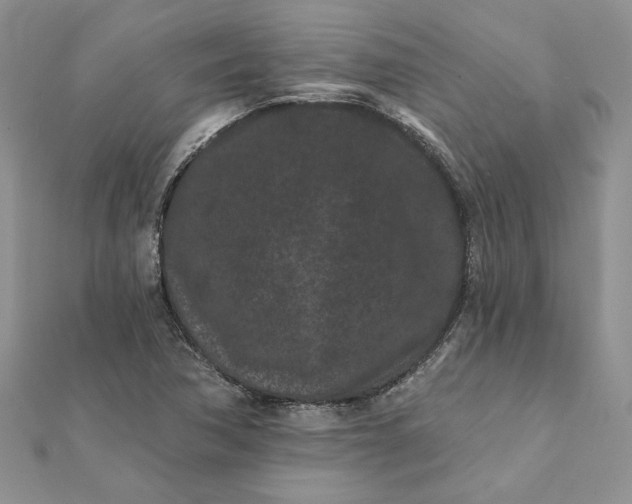 X0000112061362200908181149