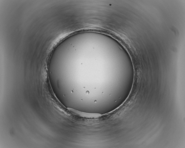 X0000112061363200908181148