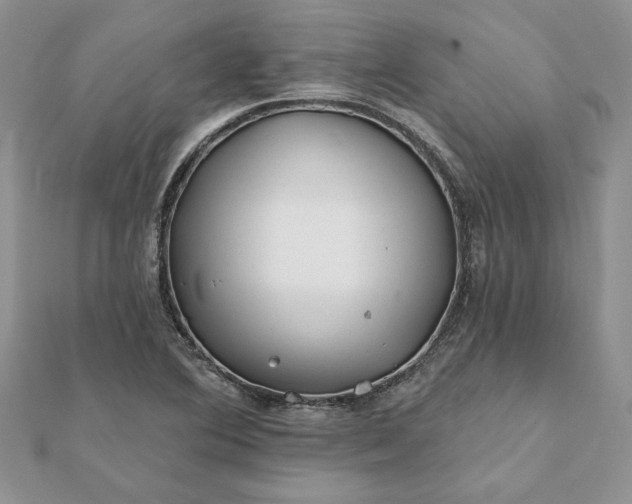 X0000112061364200908181148