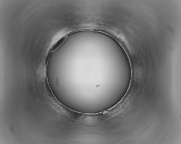 X0000112061365200908181148