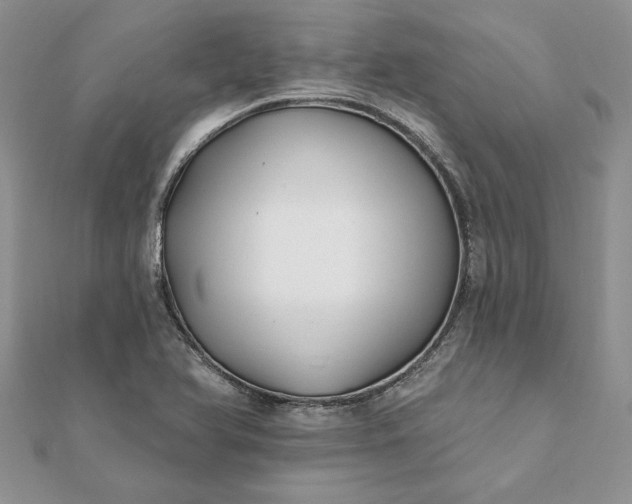 X0000112061366200908181148