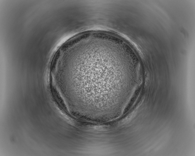 X0000112061367200908181148