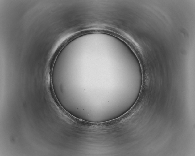 X0000112061368200908181148