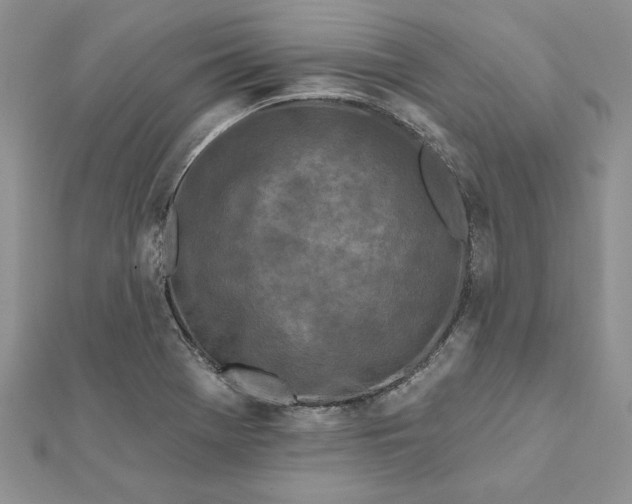 X0000112061369200908181148