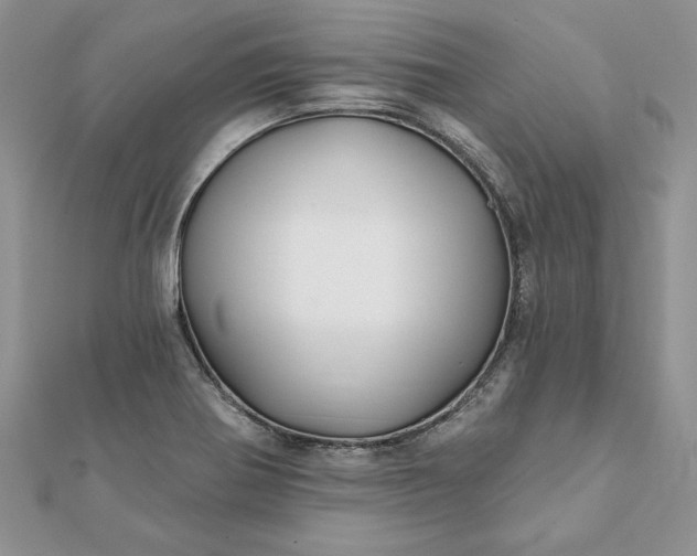 X0000112061370200908181148