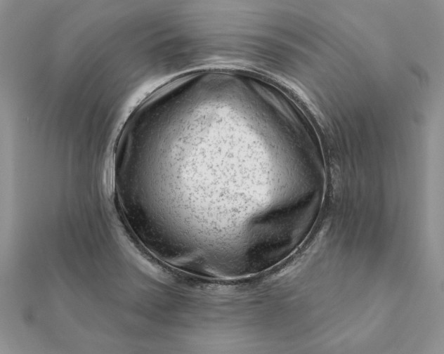 X0000112061371200908181148