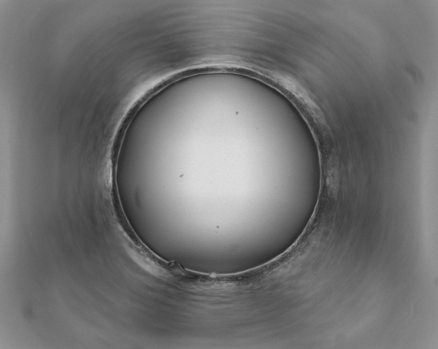 X0000112061372200908181148