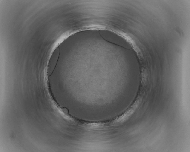 X0000112061373200908181148