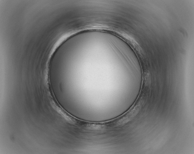 X0000112061374200908181148