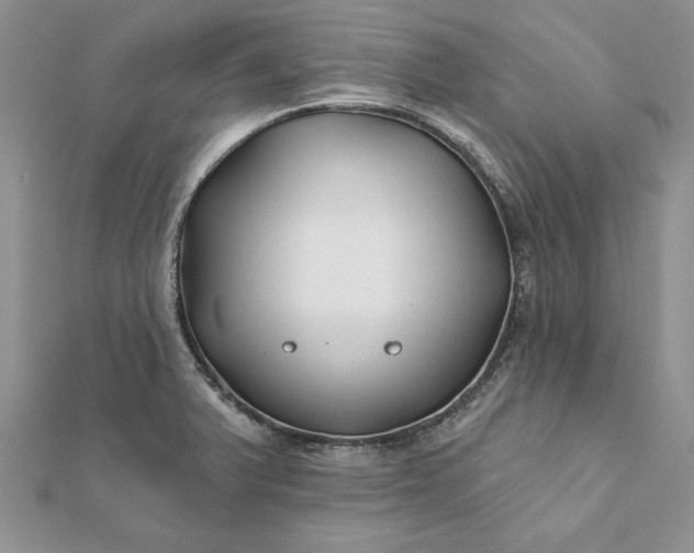 X0000112061375200908181148