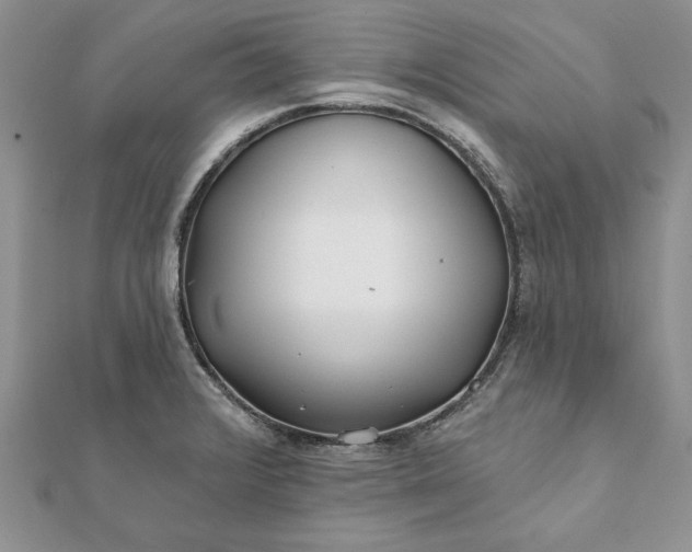 X0000112061376200908181148