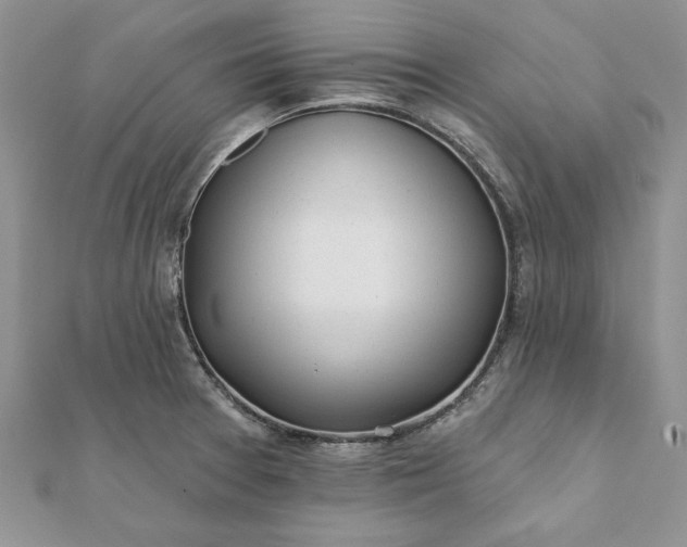 X0000112061377200908181148